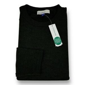 NWOT Artefact Men's Merino Wool Long Sleeve Pullover Sweater Medium Green